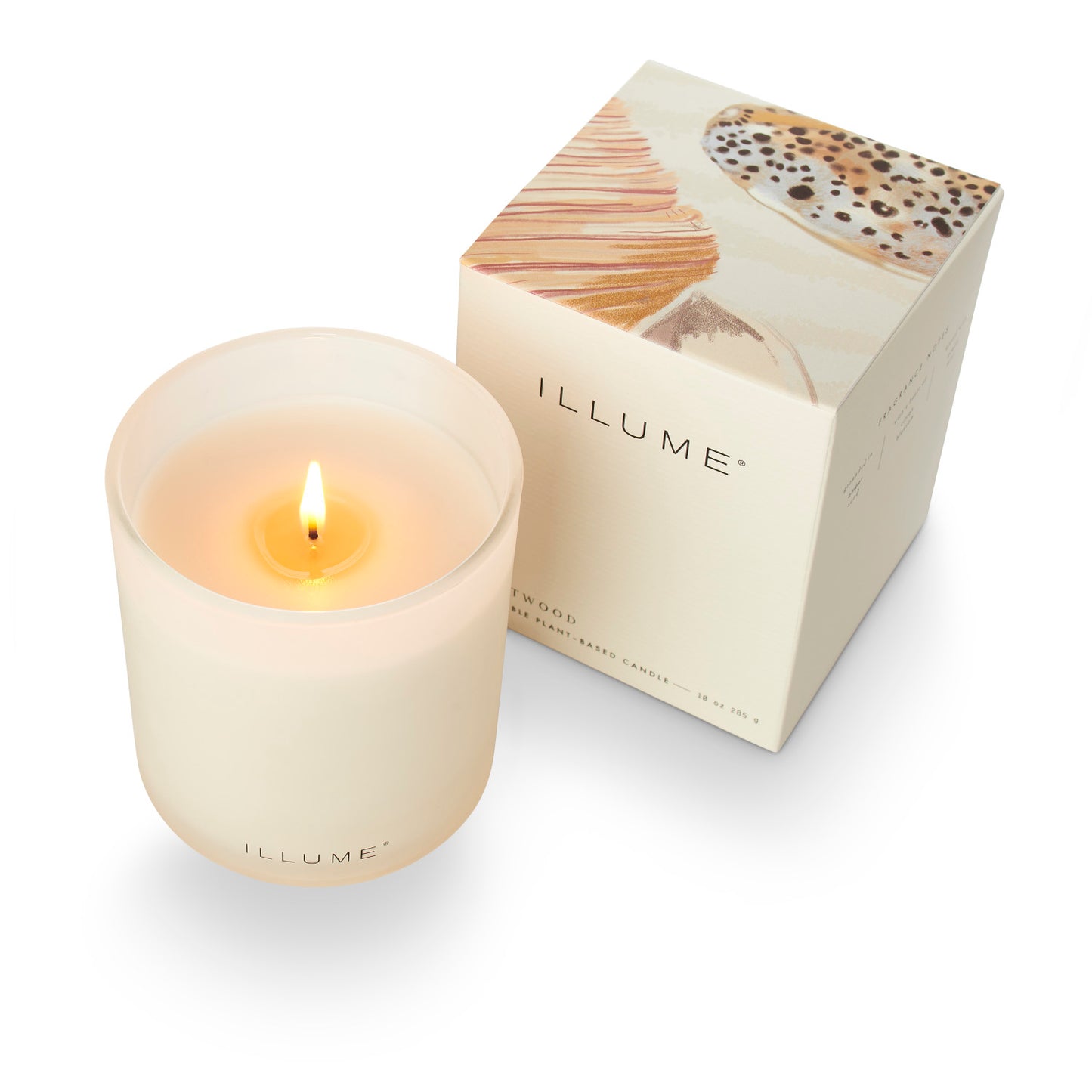 Driftwood Plant-Based Candle