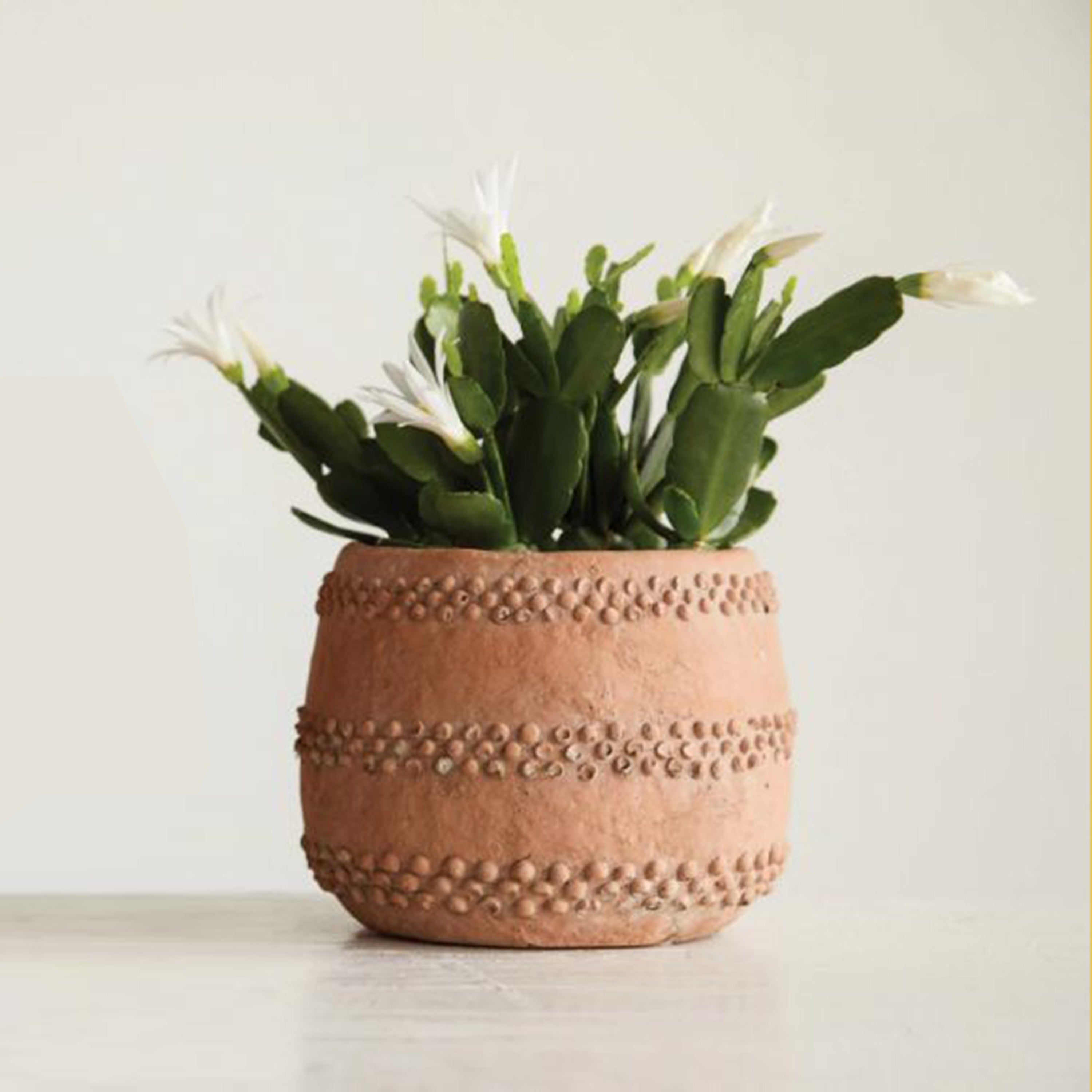 terrain plant pots Terrain Planter – Shop Blythe Interiors