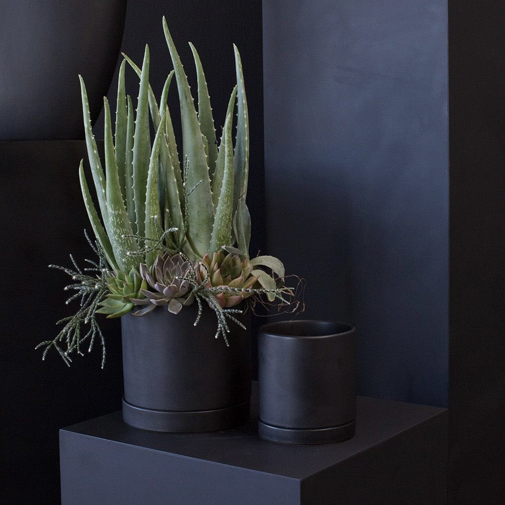 Black Romey Pot