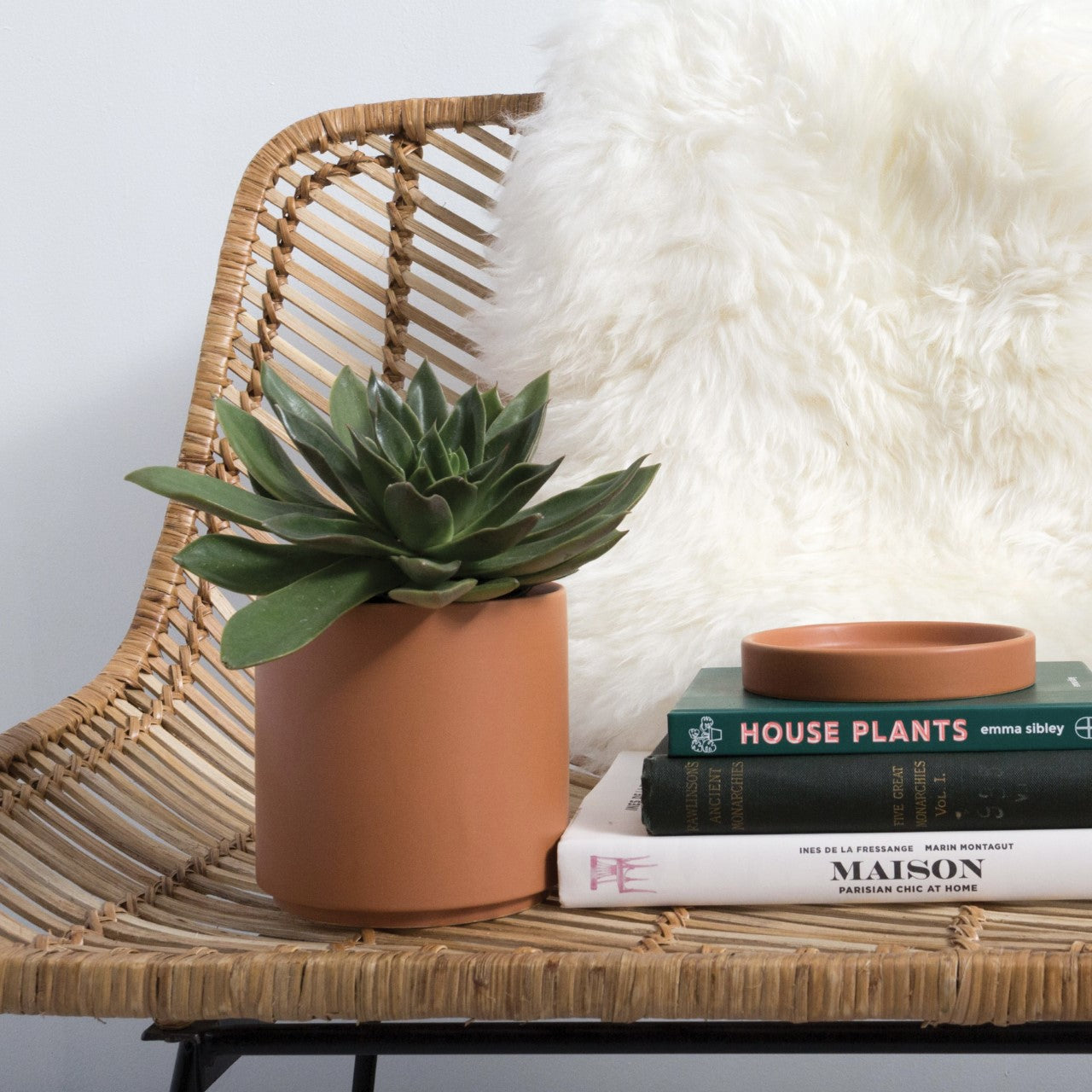 Terracotta Romey Pot