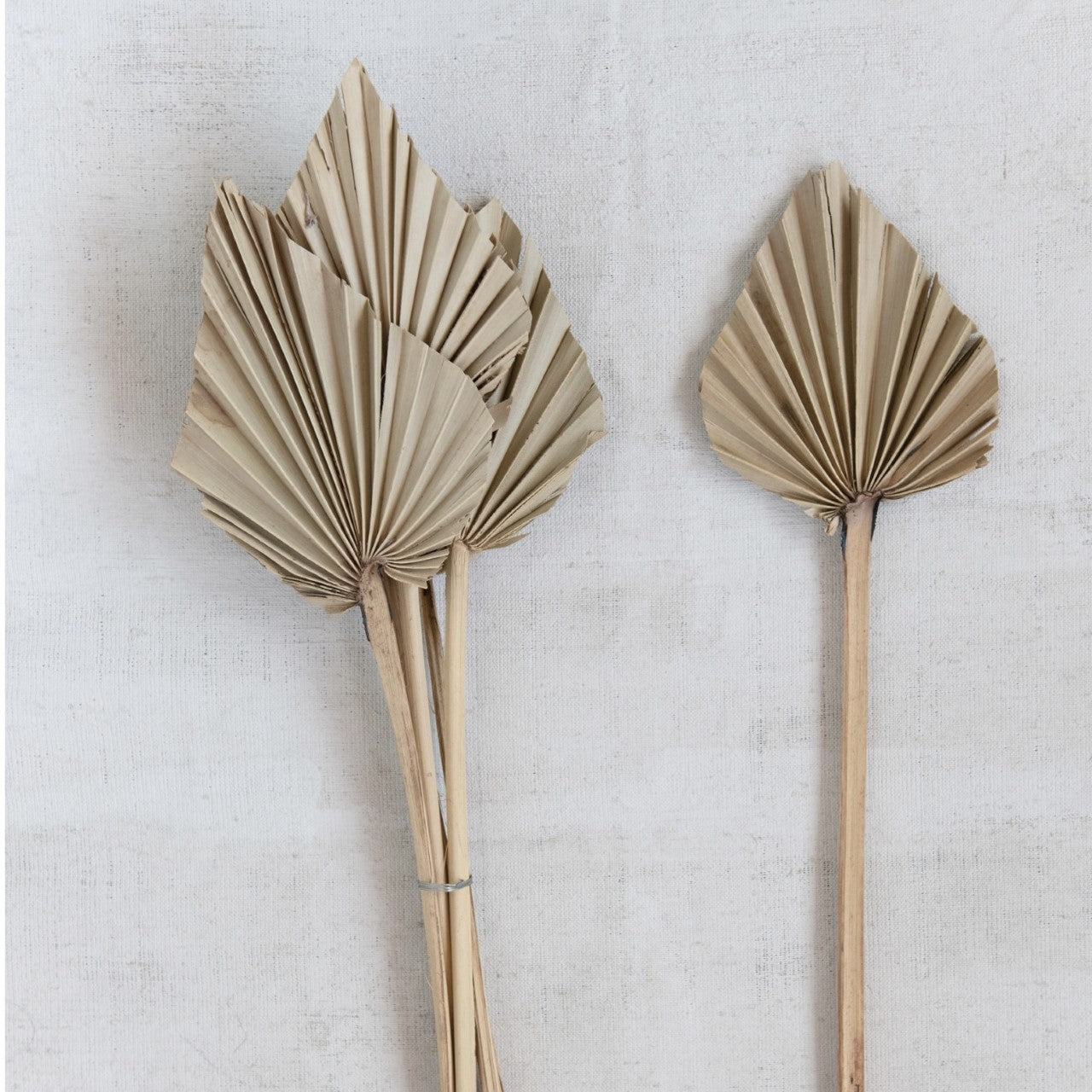 Dried Palm Spears