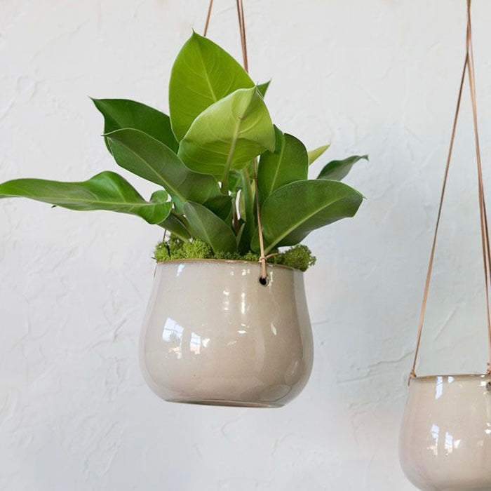 hanger for planter Just Hanging Around' Plant Hanger – Shop Blythe Interiors
