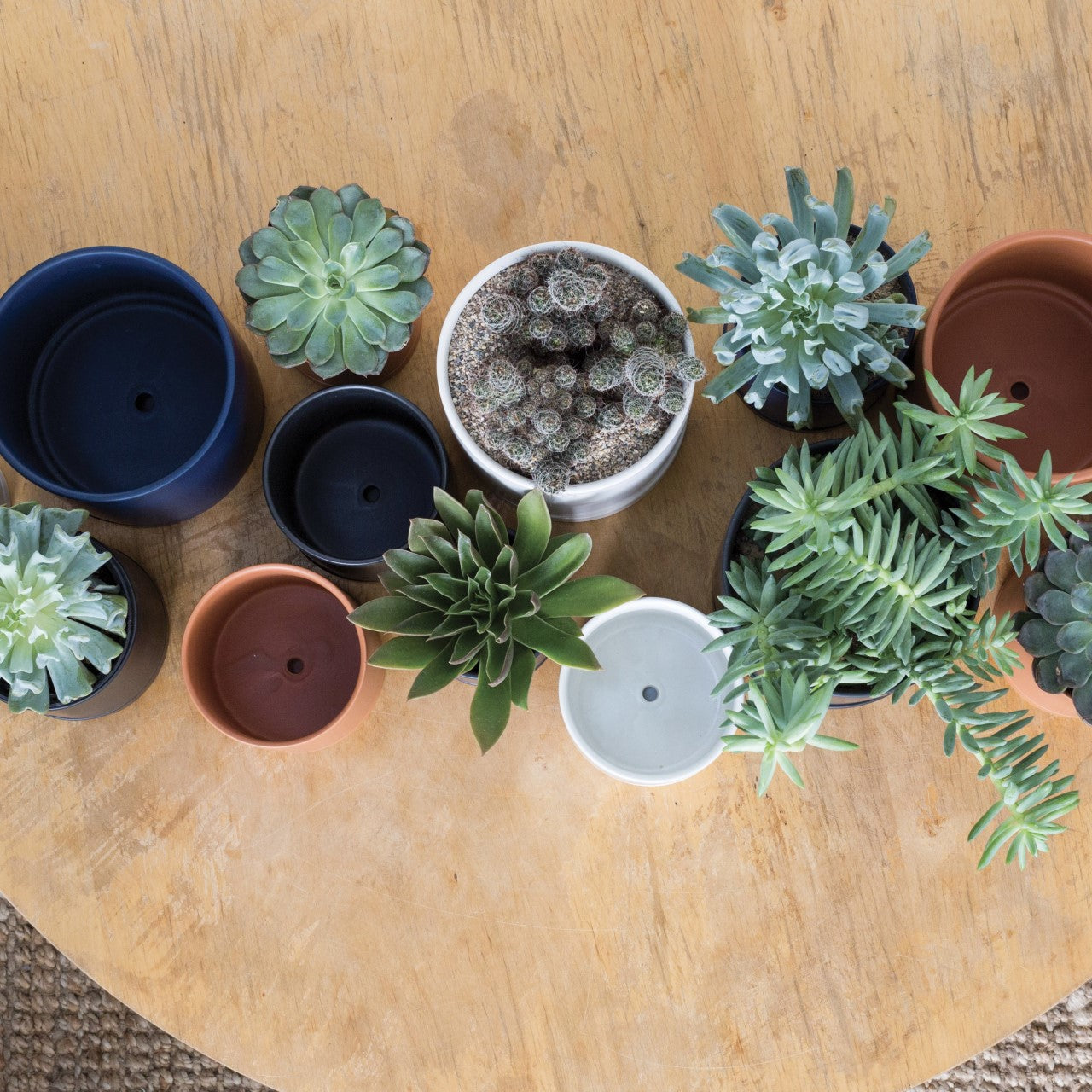 Sage Romey Pot