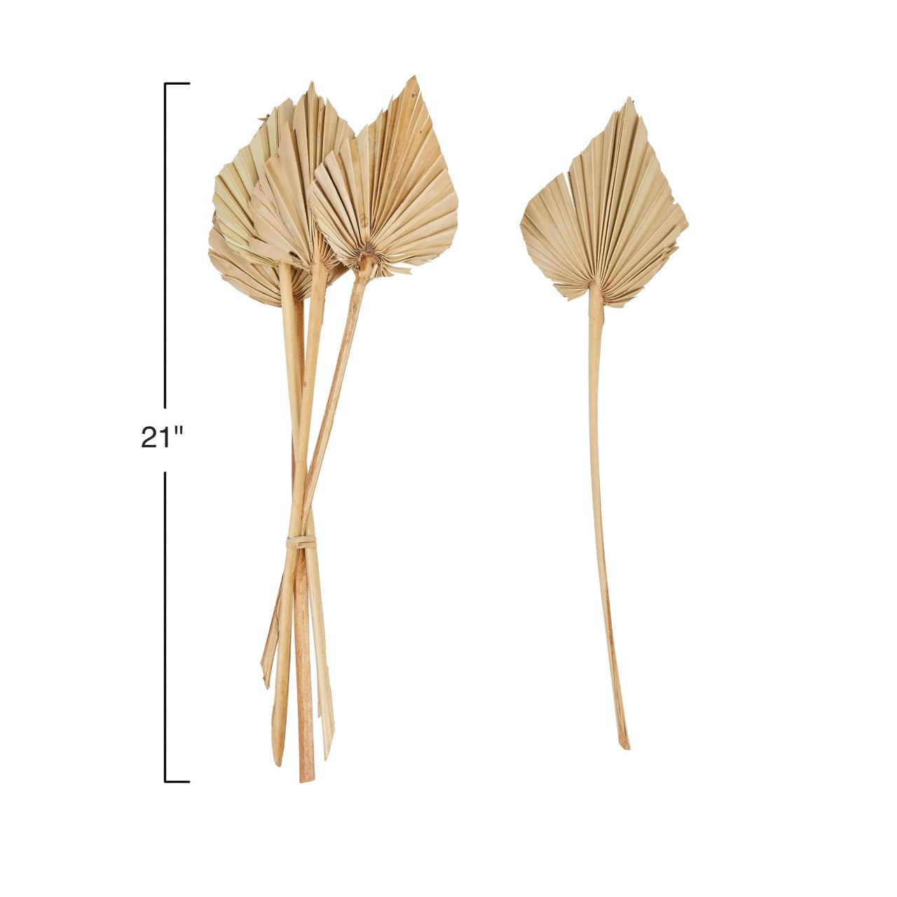 Dried Palm Spears