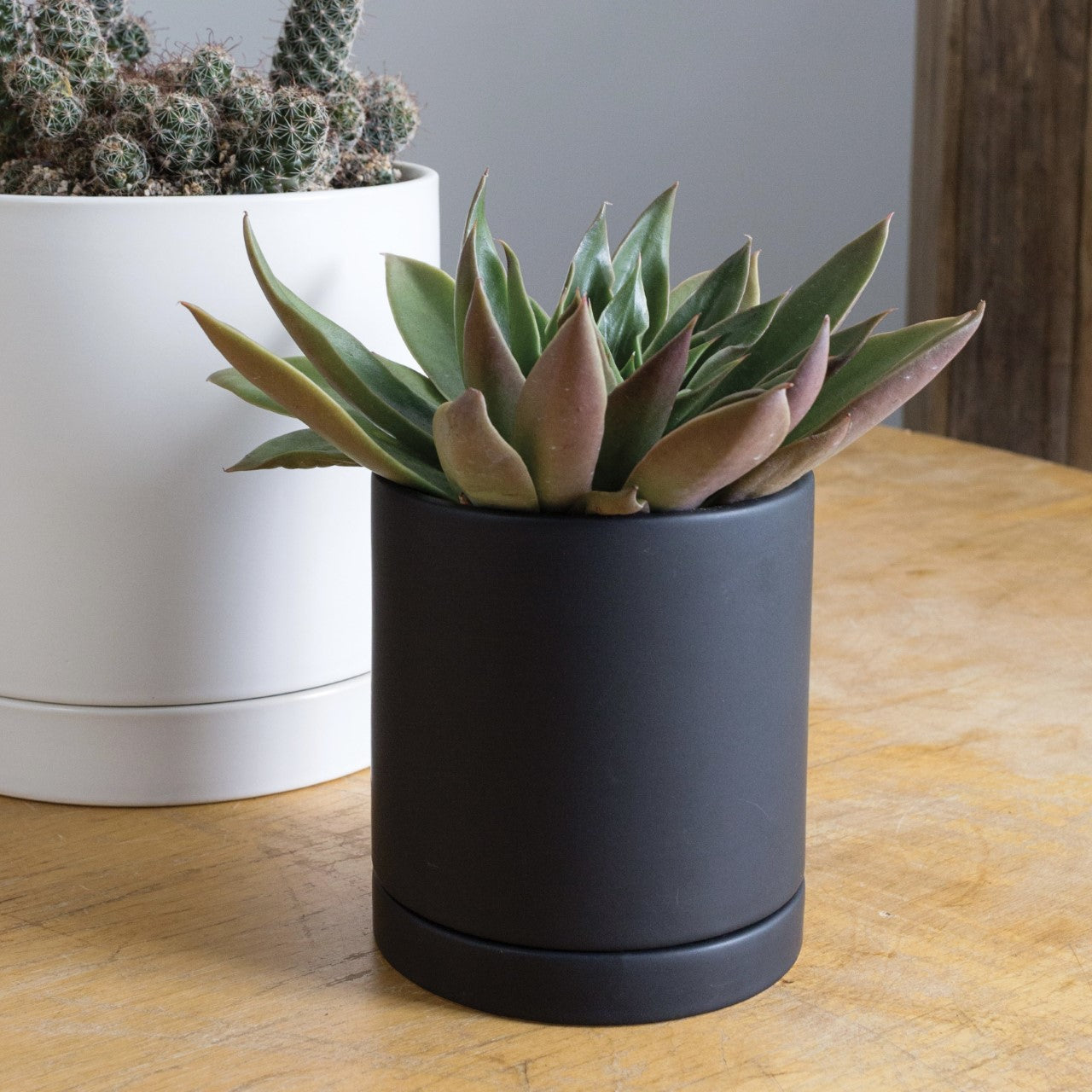Black Romey Pot