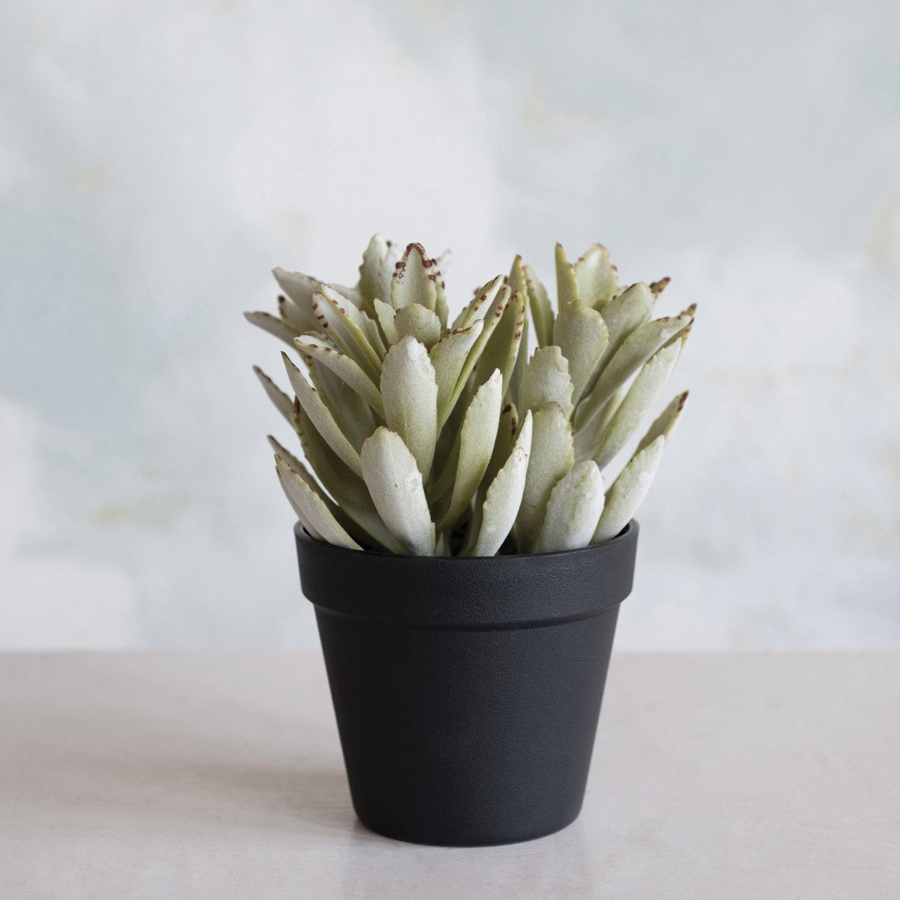 Faux Succulent in Pot