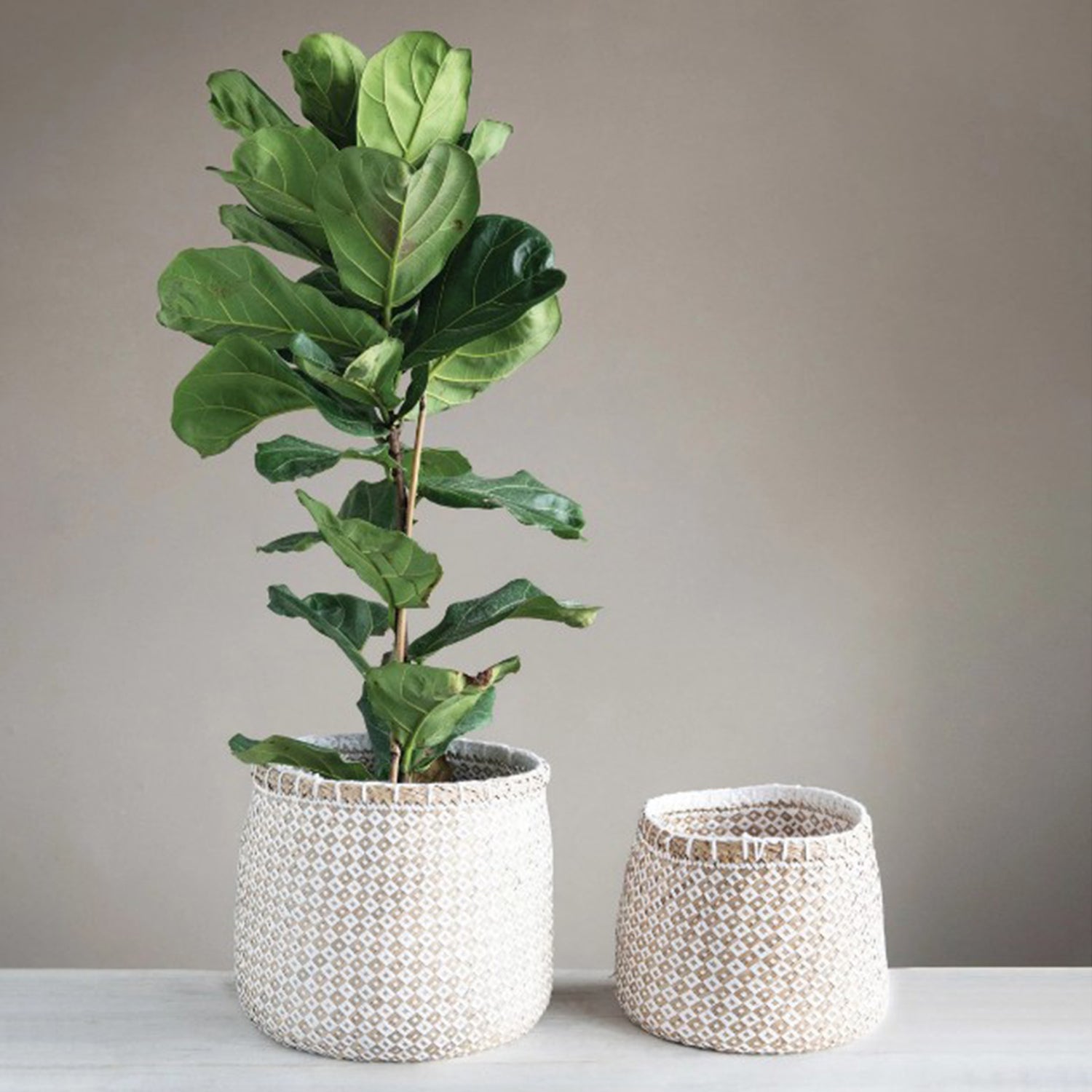 woven baskets for plants Geo Woven Baskets – Shop Blythe Interiors